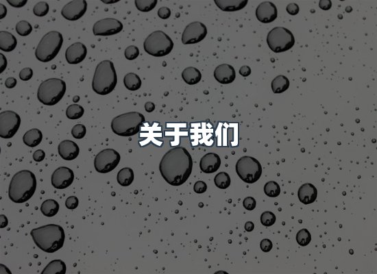 专业团队